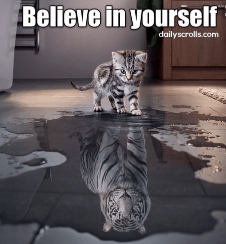 Screen Shot 2017-03-01 at 4.52.02 pm.png